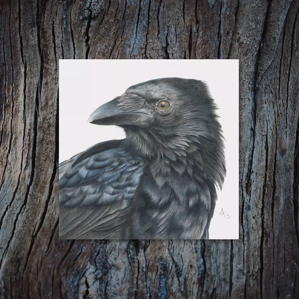Carrion Crow Greetings Card